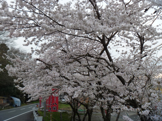 d0231858_7264842.jpg
