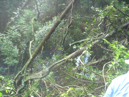 c0108460_23561542.jpg