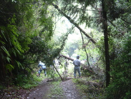 c0108460_23565176.jpg
