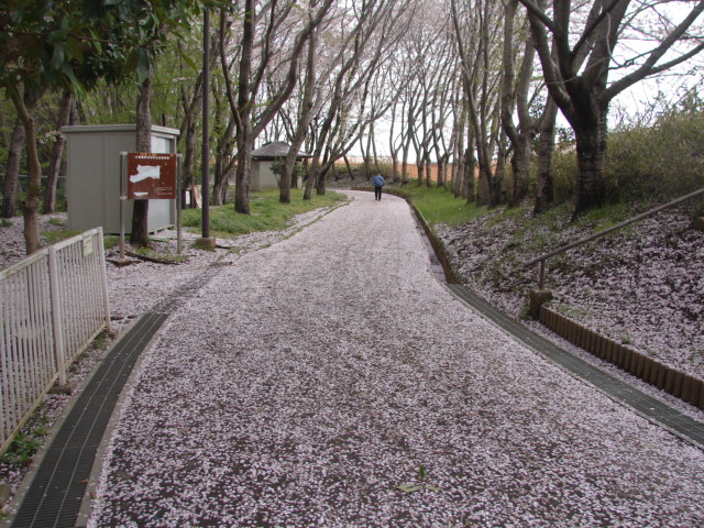 b0061261_23245781.jpg