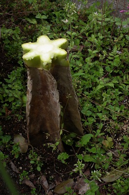 e0225164_7305566.jpg