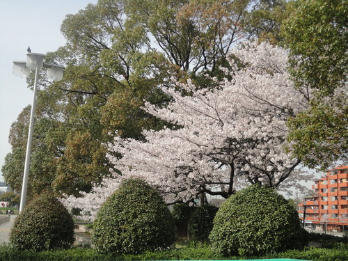 f0182367_11514651.png