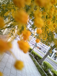 a0211669_0451663.jpg