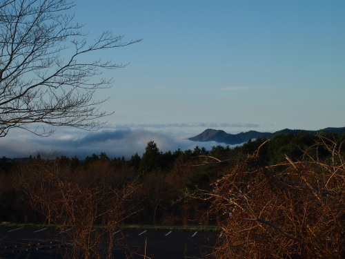 c0122670_22312617.jpg