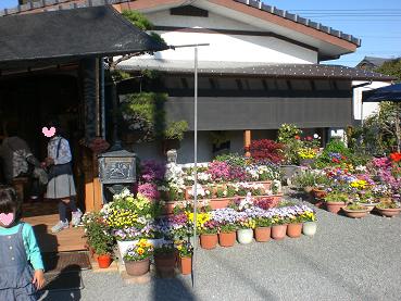 c0222471_2254734.jpg