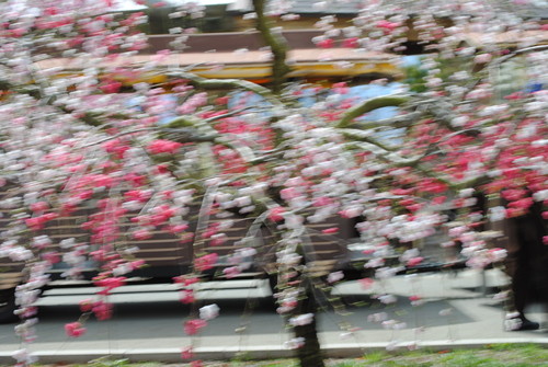 b0242873_0153330.jpg