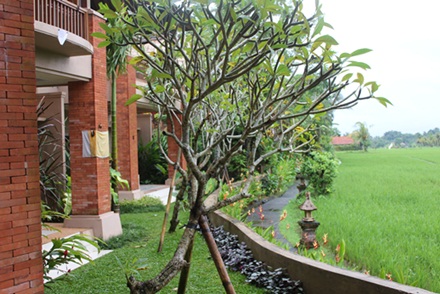 e0203477_14324212.jpg