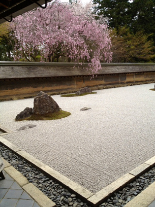 b0177078_743350.jpg
