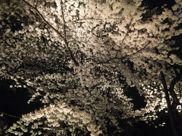 e0184179_11405513.jpg