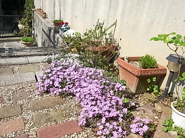 b0206784_2154964.jpg