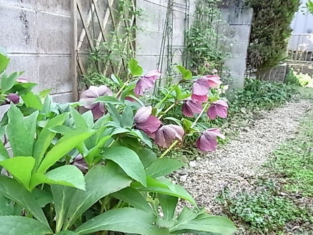 b0206784_2163868.jpg