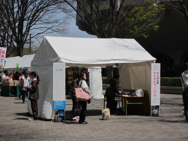 d0098295_04746.jpg