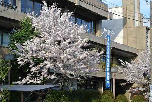 b0166496_1871911.jpg
