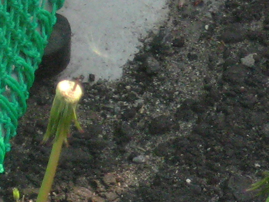 b0097200_23255662.jpg