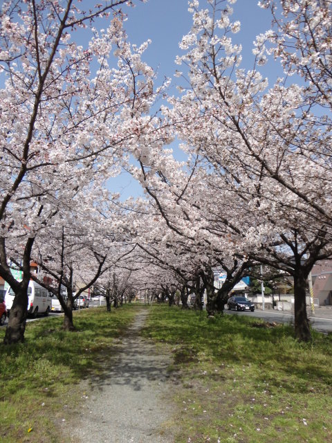 c0137300_16591652.jpg