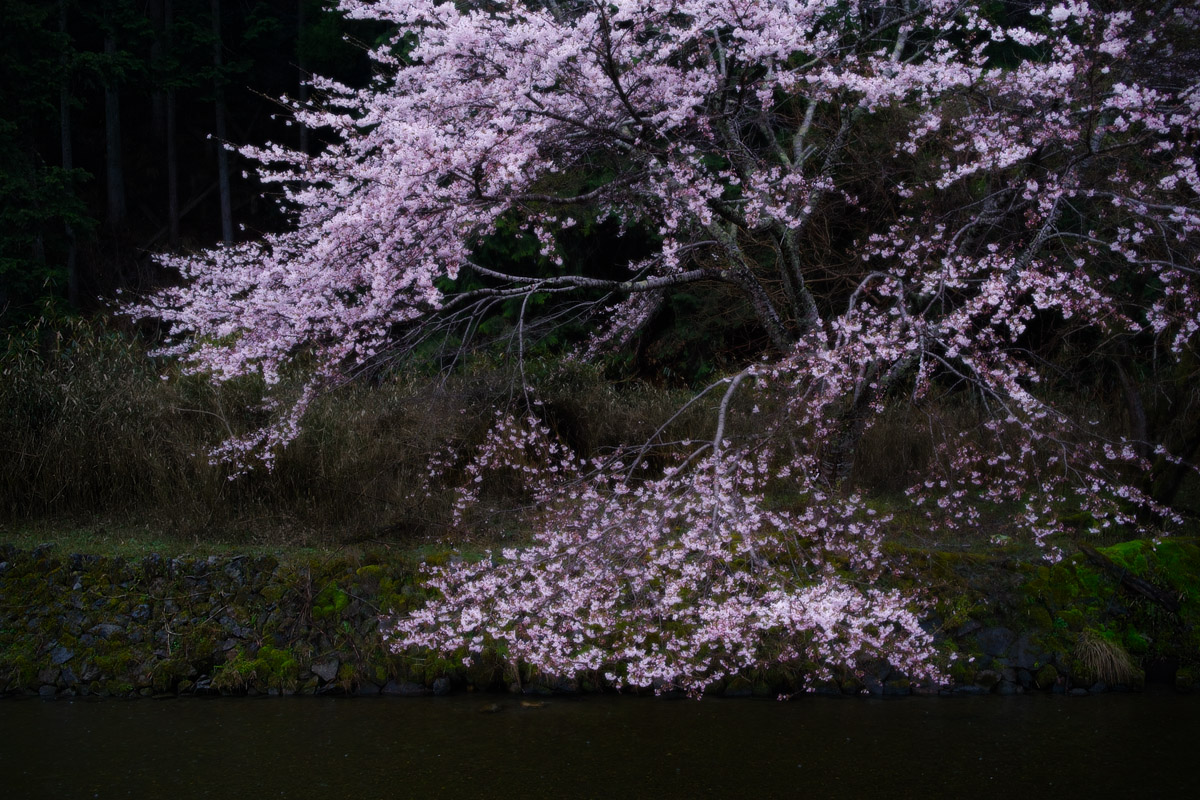 d0200900_5345455.jpg