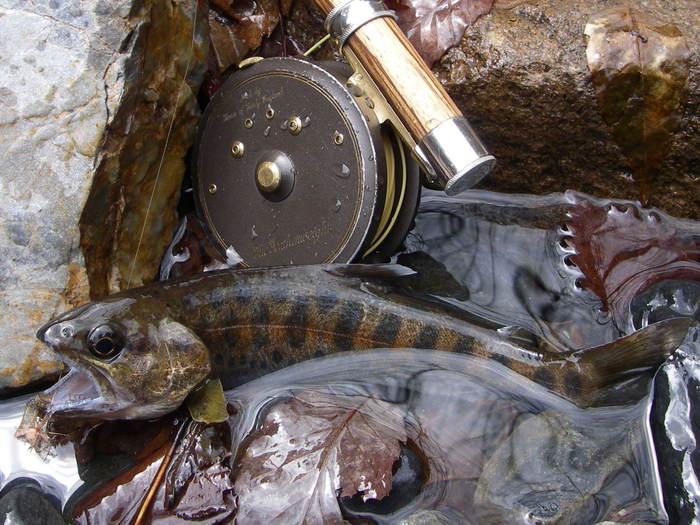 c0180802_13451197.jpg