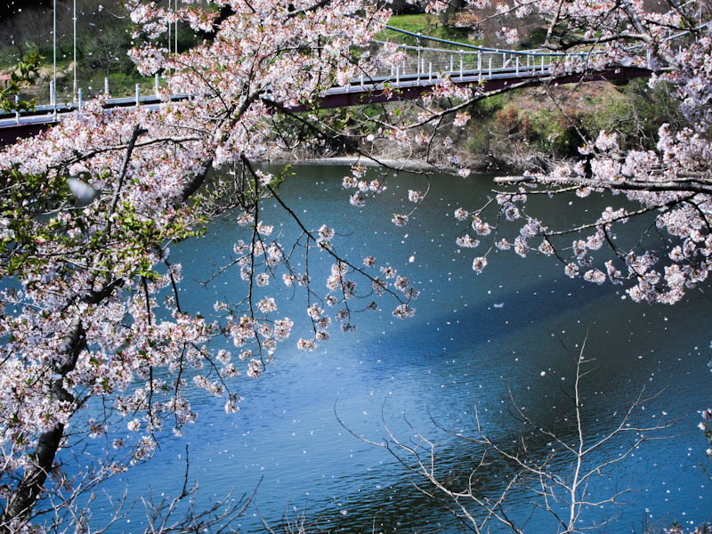 c0043403_2140242.jpg