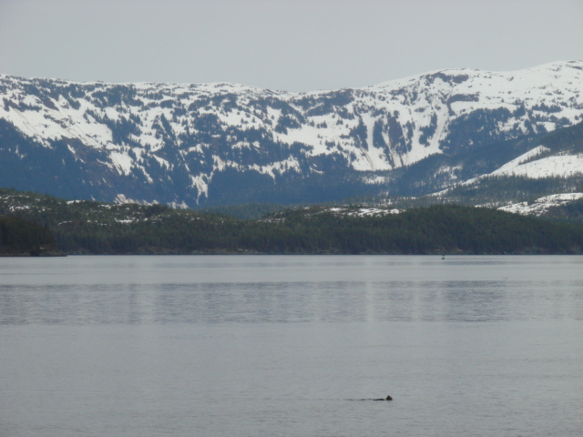 d0251307_4594749.jpg