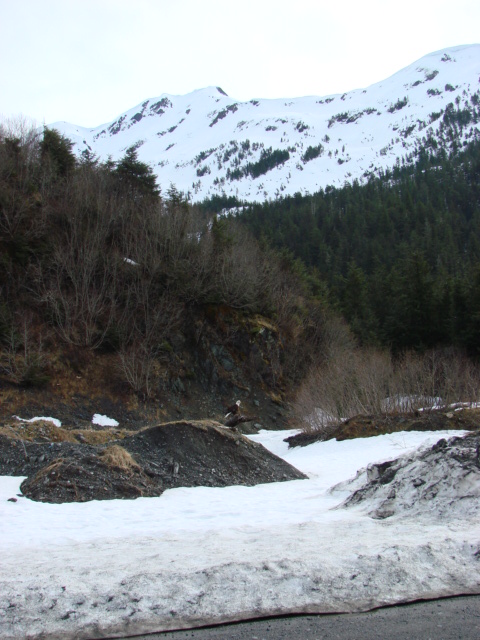 d0251307_531049.jpg