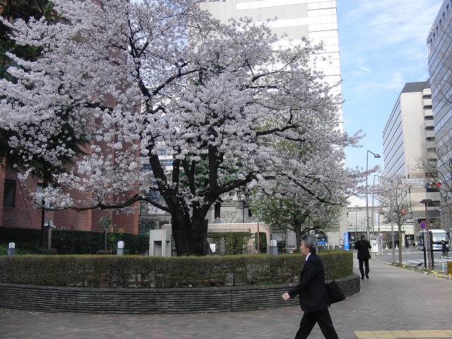 f0141310_7503150.jpg