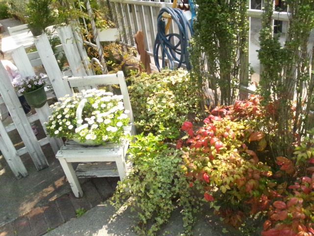 c0206212_2102794.jpg
