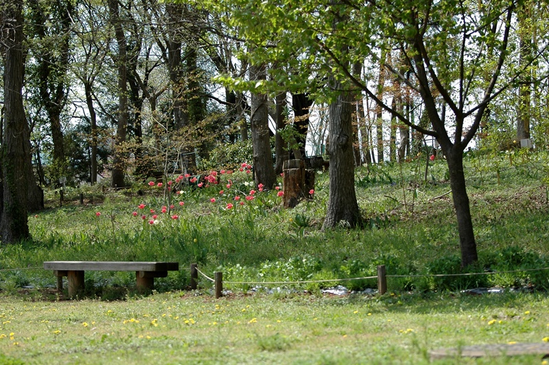f0012718_2316412.jpg