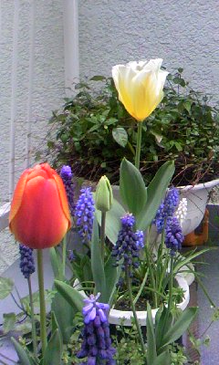 d0024220_20102941.jpg