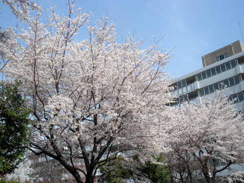 c0184125_1654327.jpg