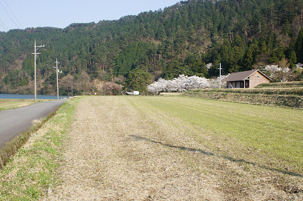 f0007926_1443997.jpg