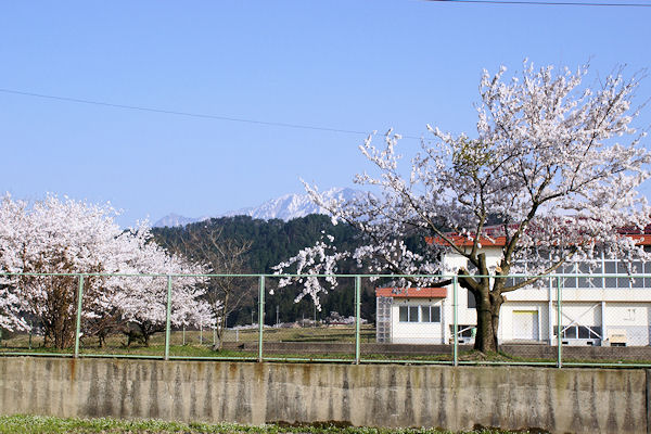f0007926_148049.jpg