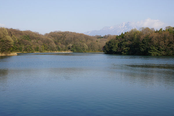 f0007926_1494269.jpg