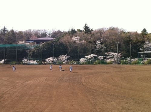 e0205730_1150563.jpg