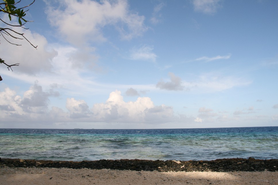 d0140533_9441347.jpg