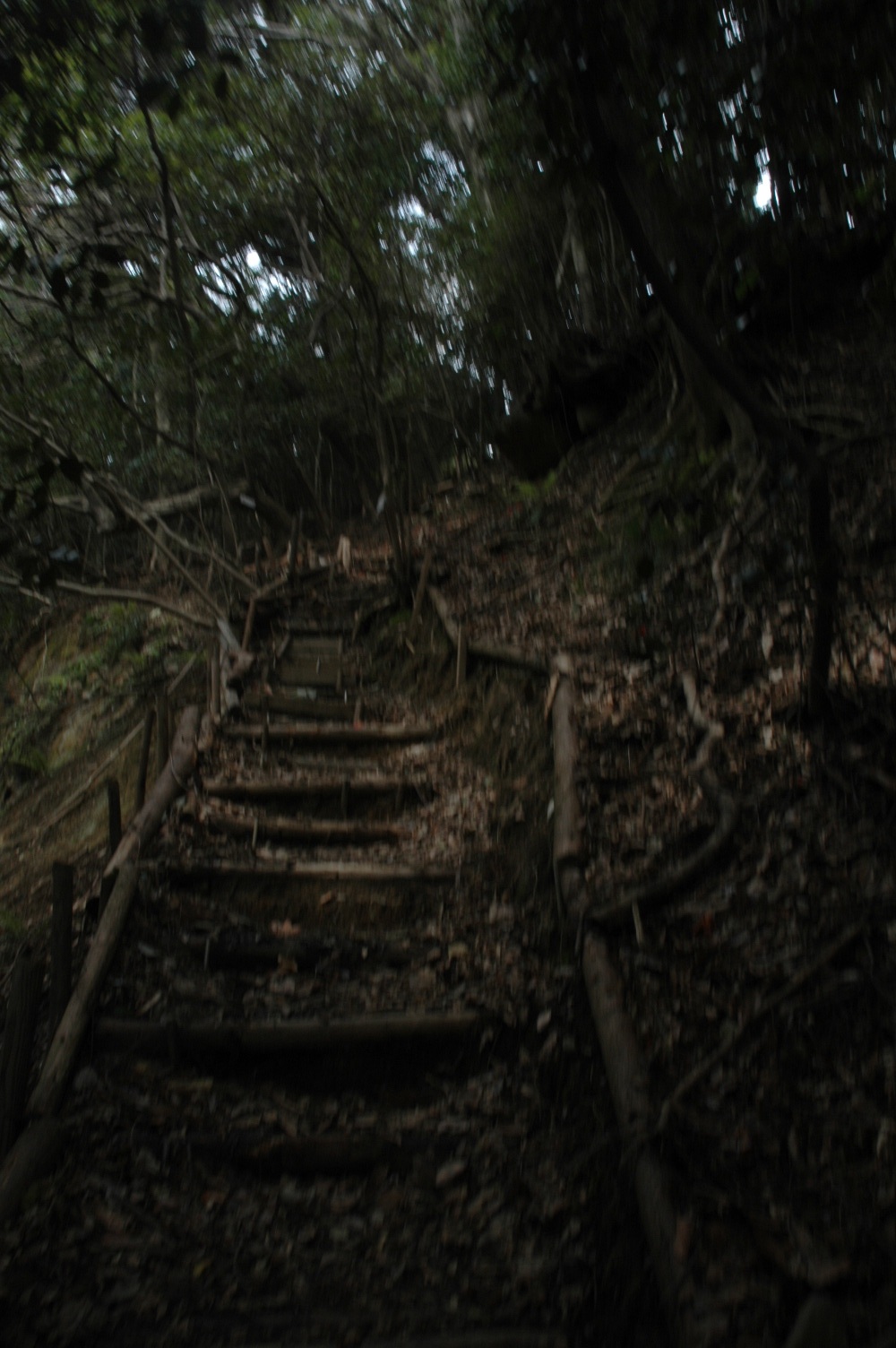 d0241833_1629834.jpg