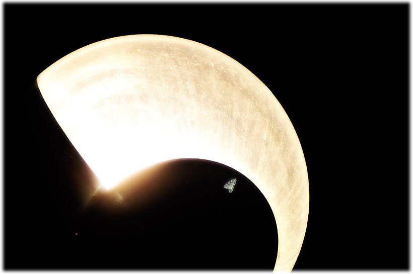 e0065734_22595274.jpg