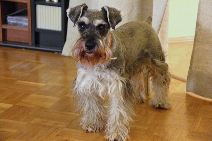 c0153740_4594074.jpg
