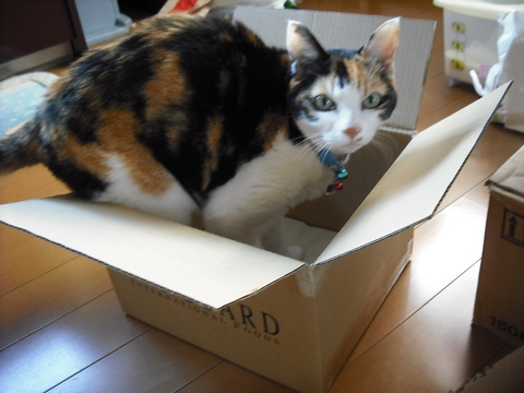 c0194042_17103928.jpg