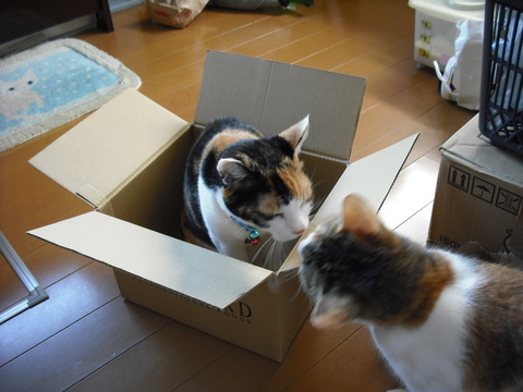 c0194042_17143455.jpg