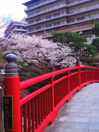 c0236542_13295510.jpg