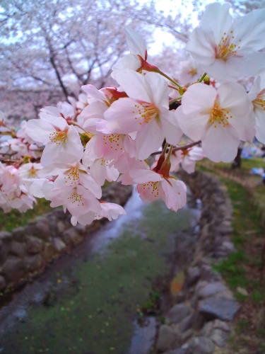 c0236542_13311320.jpg