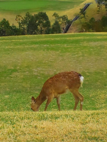 c0236542_15143199.jpg