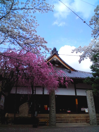 c0236542_1762038.jpg