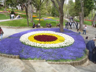 e0210347_1556165.jpg