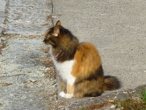 b0238249_20335100.jpg