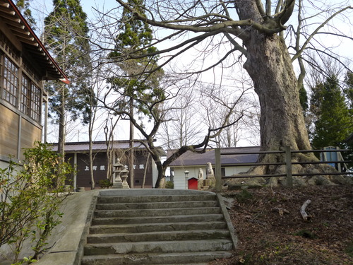 b0238249_203529.jpg