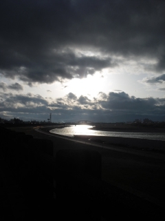f0009451_16345625.jpg