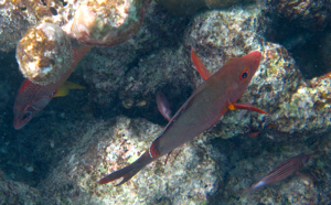 f0190653_1041112.jpg