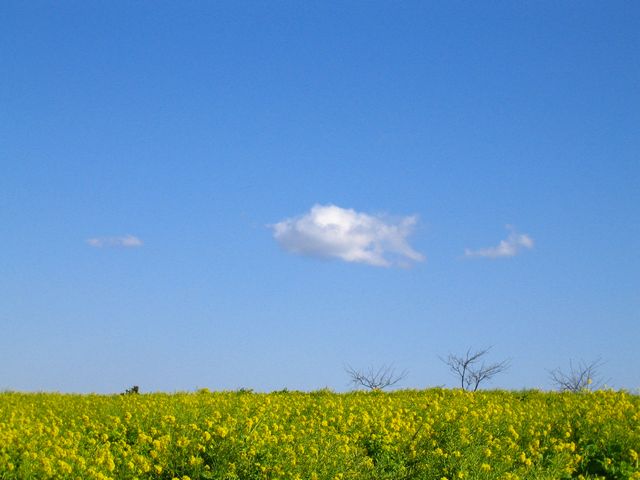 a0081957_0343573.jpg