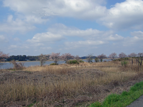 b0045357_13461794.jpg